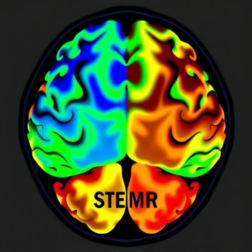 Dual PET/MR tracers help classify refractory temporal lobe epilepsy subtypes