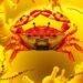 Dual RNA-seq Reveals Parasite Virulence Genes and Crab Immune Responses