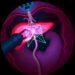 Endoscopic robot with deep learning path planning for liver biopsy