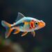 ERC awards 2.5 million euros to launch zebrafish research group at MPZPM