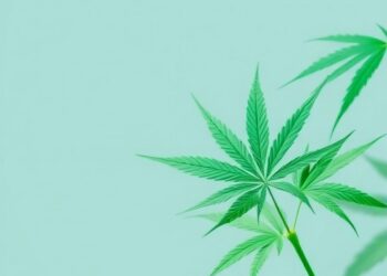 Evidence brief: regulation, safety and stakeholder support for Colombian cannabis policy