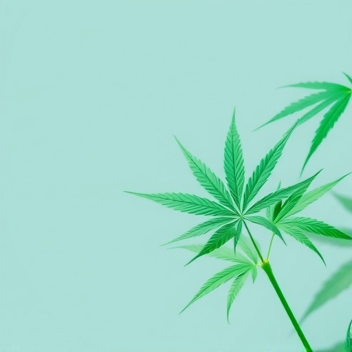 Evidence brief: regulation, safety and stakeholder support for Colombian cannabis policy