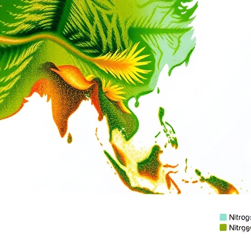 Evolution and environment shape global patterns of leaf nitrogen use