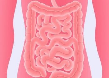 Family cancer history raises risk for inflammatory bowel disease patients