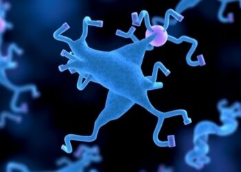 Fecal S100B protein shows promise for assessing C. difficile severity