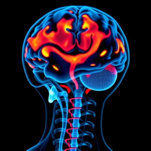 fMRI reveals how unconscious brain signals drive consumer purchases