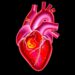 Fusion imaging 3D printed heart models aid surgeons more than imagers