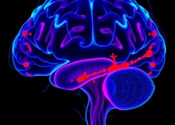 GABA signaling fuels glioblastoma growth in female mice via suppressor cells