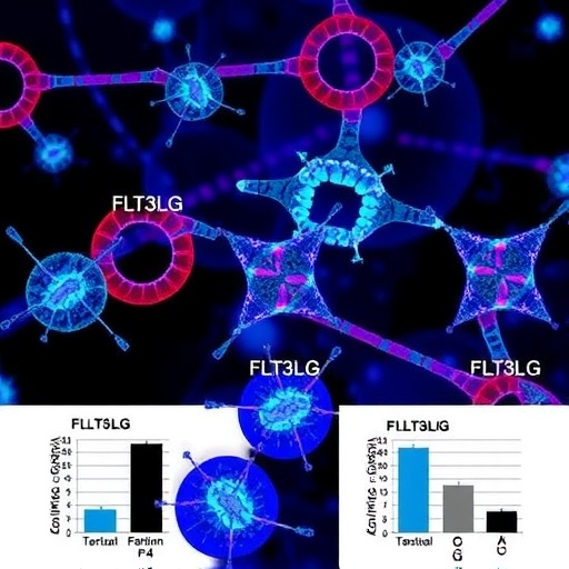 Gamma-chain cytokines drive FLT3LG, fostering regulatory-like CD4 T cells in breast cancer