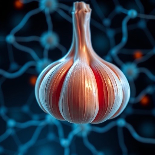 Garlic compound blocks key signal, triggering gastric cancer cell death