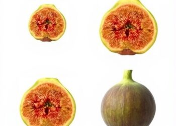 Genetic and morphological diversity revealed in Mediterranean fig genotypes