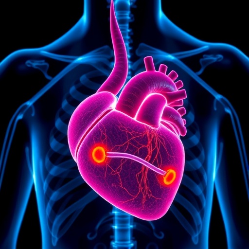 Genetic autopsy findings in unexplained sudden cardiac deaths reviewed