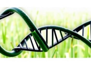 Genetic transformation of forage crops: barriers, evidence, and new strategies