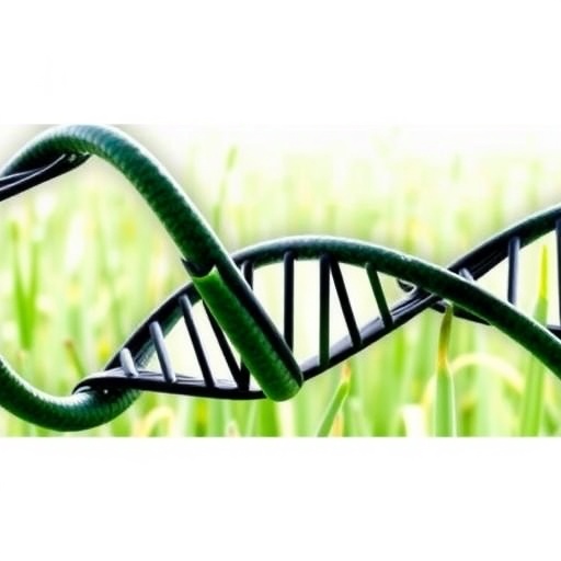 Genetic transformation of forage crops: barriers, evidence, and new strategies
