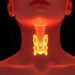 Genome-wide study across ancestries reveals genetic roots of Hashimoto’s thyroiditis