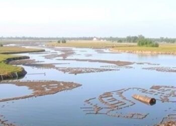 Groundwater extraction drives dispossession across India’s Kaveri Delta