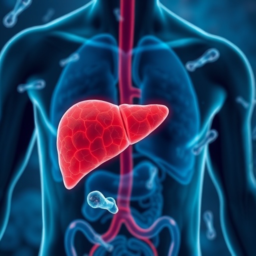 Gut bacteria linked to severe liver disease, researchers discover