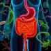 Gut microbes and ABC transporters linked to herbal remedy for diarrhea