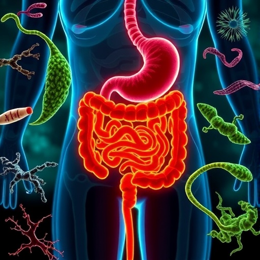 Gut microbes and ABC transporters linked to herbal remedy for diarrhea