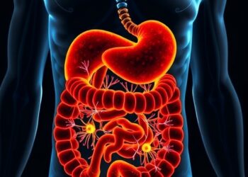 Gut microbes drive ultrasound therapy that rejuvenates ageing muscle