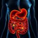 Gut microbes drive ultrasound therapy that rejuvenates ageing muscle