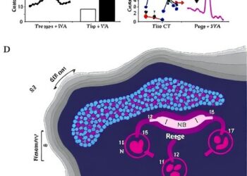 Gut microbial metabolite imidazole propionate drives sclerosing cholangitis through p38 signaling