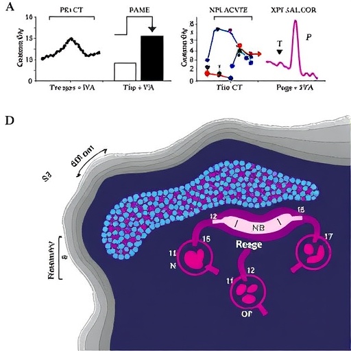 Gut microbial metabolite imidazole propionate drives sclerosing cholangitis through p38 signaling