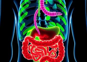 Gut microbiome and metabolite changes in Graves’ disease with H. pylori infection