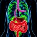 Gut microbiome and metabolite changes in Graves’ disease with H. pylori infection
