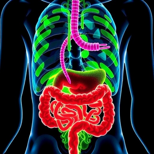 Gut microbiome and metabolite changes in Graves’ disease with H. pylori infection