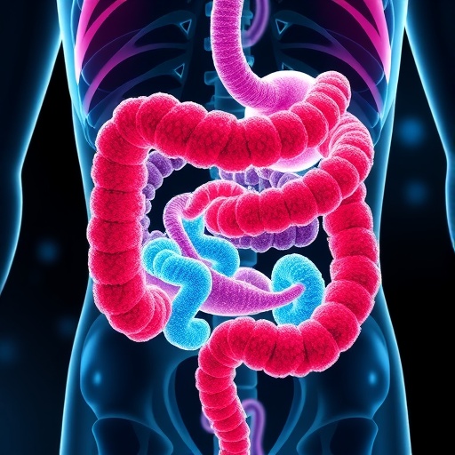 Gut microbiome–parasite axis linked to persistent Entamoeba histolytica carriage