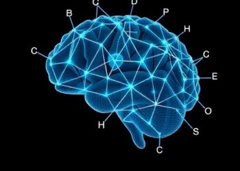 Hierarchical estimation untangles individual and group correlations in cognitive models