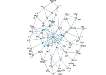 Hierarchical graph transformer predicts enzyme function using functional residues