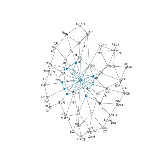 Hierarchical graph transformer predicts enzyme function using functional residues