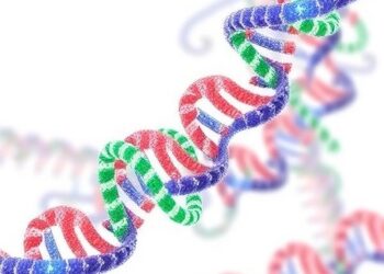 HNRNPC revealed as key RNA regulator with broad diagnostic and therapeutic potential