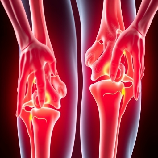 Hormones interact non-linearly in osteoarthritis, study maps sex differences