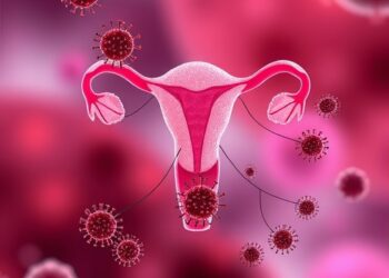 How immune and endocrine signals interact during human ovulation