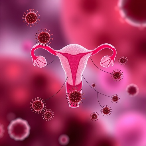 How immune and endocrine signals interact during human ovulation