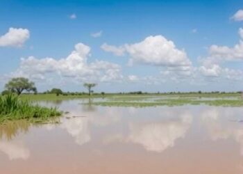 How people in South Sudan’s Sudd wetlands adapt to flood risk