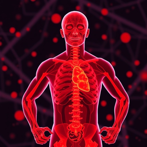 How systemic inflammation drives muscle dysfunction in COPD exercise