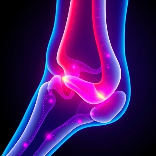 Impaired mechanosensitivity and metabolism hinder diabetic bone healing, guiding scaffold design