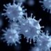 Klebsiella aerogenes adapts within one host through plasmid loss and tissue-specific virulence
