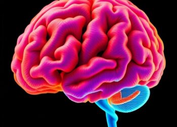 Layered polygenic risk scores better predict hippocampal cognitive decline