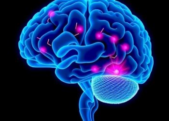 Linking predictive algorithms with clinical decisions in DBS contact selection