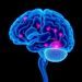 Linking predictive algorithms with clinical decisions in DBS contact selection