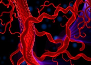 MCC protein links Wnt signaling to blood vessel polarity and remodeling