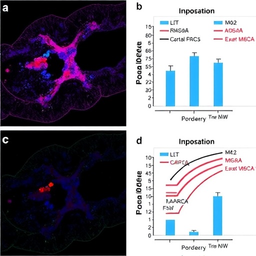 MCM10 drives colorectal cancer progression via m6A-regulated M2 macrophage polarization
