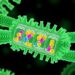 Membrane orientation drives GAPR-1 oligomerization enabling beclin 1 interaction