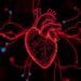 Metabolic signatures reveal doxorubicin heart toxicity risk in breast cancer patients