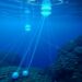 Metaheuristic cluster routing boosts energy efficiency in underwater sensor networks